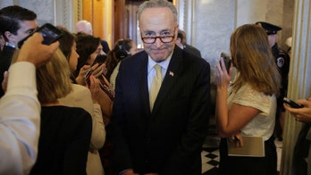 Chuck Schumer says 'Grinch bots' are stealing Christmas