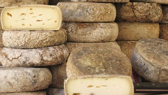 Cheese created using the skin microbes of humans