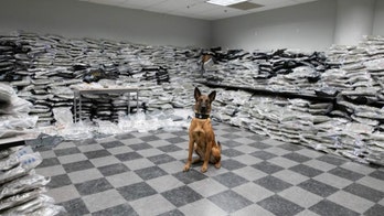 Chicago police find 1,500 pounds of pot during traffic stop