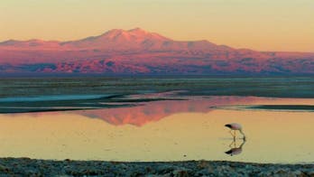Star gazing adventure in Chile’s Atacama Desert