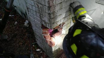 Florida girl who fell into chimney rescued