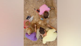 Italian cemetery could preserve cholera DNA