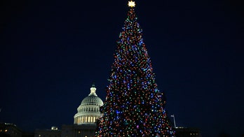 ӣ����Ƶ Poll: Voters give Congress a Christmas bonus