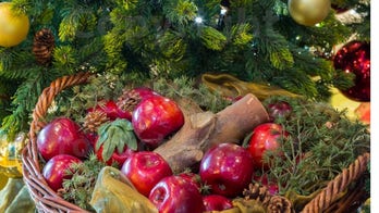 No, it’s not too late to spend your holiday on a cruise