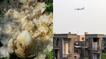 Poop 'meteor' fell from passenger jet in India, officials believe