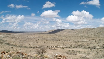 Oldest animal-built reef discovered in Namibia