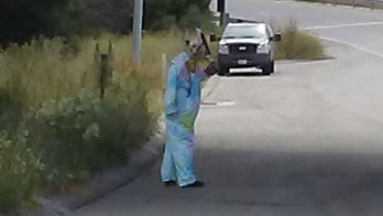 California clown holding bloody machete spooks highway drivers