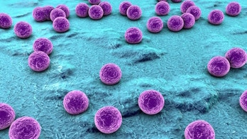 New map tracks germs' travels around hospitals