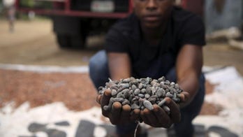 Judge: No child labor labels for Nestlé, Hershey