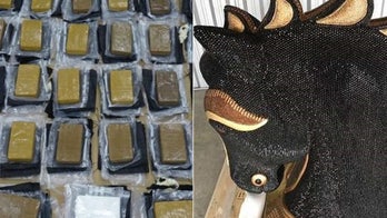 American among 3 arrested after massive cocaine haul found in horse's head sculpture