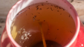 Danish hospital says case of Zika virus discovered