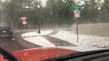 Colorado hail storm kills 2 animals at zoo, injures 14 people