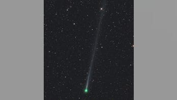 Quirky comet has unexpected composition, NASA study shows