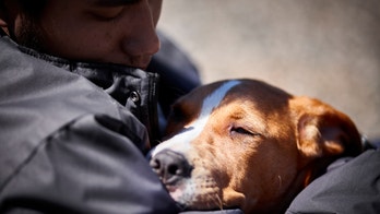 Inmate-trained dogs give veterans some love