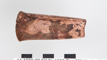 Ax linked to Ötzi the iceman found north of the Alps