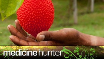 Gac: Strange Name, Powerful Fruit