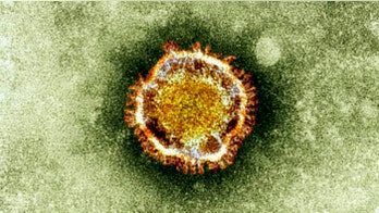 Texas A&M student tested for possible coronavirus exposure, had traveled to China