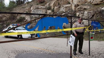 Attacks soar at US wild cat sanctuaries