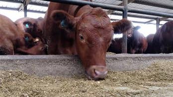 Guide for healthy eating may consider environment