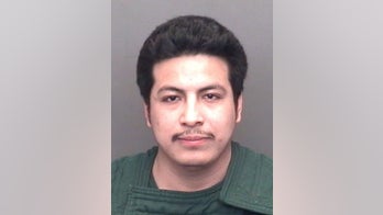 Illegal immigrant accused of molesting child, giving her herpes