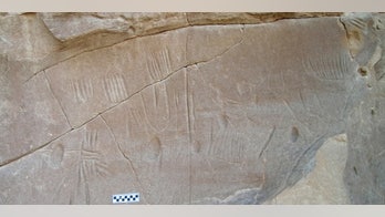 History mystery: Creepy crawly rock art mystifies archaeologists