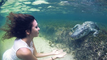 Scaly snaps: Model poses face-to-face with crocodiles in Mexico