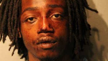 Chicago pit bull takes a bite out of crime epidemic, officials say