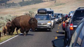 Visitor misbehavior abounds as US parks agency turns 100
