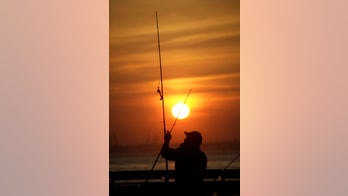 William Shatner wants you to send your name to the Sun on NASA's historic solar probe