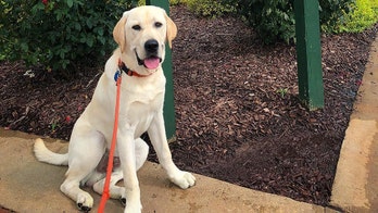 The Daily Spike: Spike visits new places – and stays cool the entire time