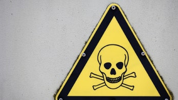 Some banned chemicals being replaced by harmful substitutes, study shows