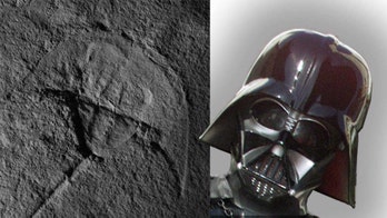 245-million-year old fossil looks like Darth Vader, scientists say