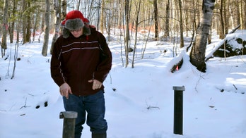 Pollution from dead Ivy League lab mice worries neighborhood