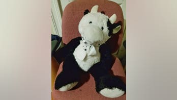 Stuffed animal saves Massachusetts toddler in two-story fall