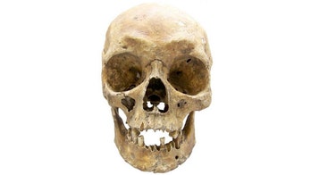 What did our ancient ancestors look like?