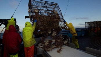 'Deadliest Catch' Season 14, Episode 8 recap: The young captains take the helm