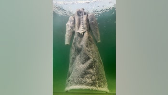 Black dress undergoes dramatic transformation after artist submerges it in the Dead Sea