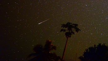 Delta Aquarid meteor shower peaks tonight
