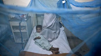 Dengue vaccine trial shows promise but questions remain