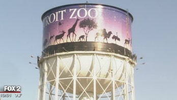 Wild coyote wanders into Detroit Zoo