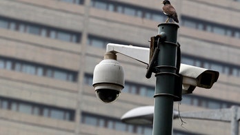High rate of repeat offenders raise questions about Maryland traffic camera program