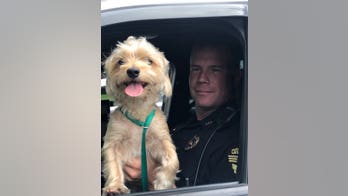 Orlando police officer offers stray dog a 'forever home' if no one claims him
