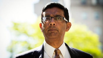 Dinesh D'Souza says recent riots and political unrest could lead to 'rise of citizen militias around the country'