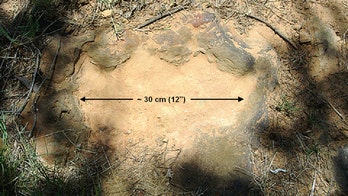 NASA lifts four-toed footprints from own backyard
