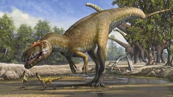 Remains of Europe's largest predatory dinosaur discovered in Portugal