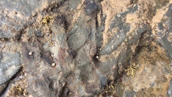 Dino destruction: Vandals wreck dinosaur footprint