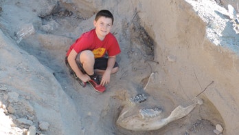 10 year-old trips into million-year-old fossil discovery in New Mexico