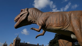 Dinosaur tracks at Utah park dislodged, thrown into lake