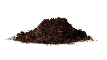 Japanese restaurant serves up $110 dirt meal