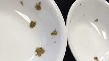 Appliance industry warns federal dishwasher regs would lead to dirty dishes